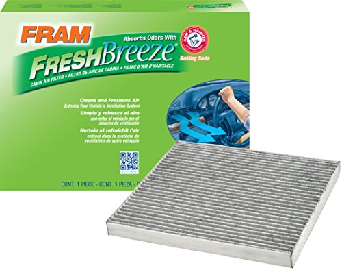 Air Filters Fram CF10371