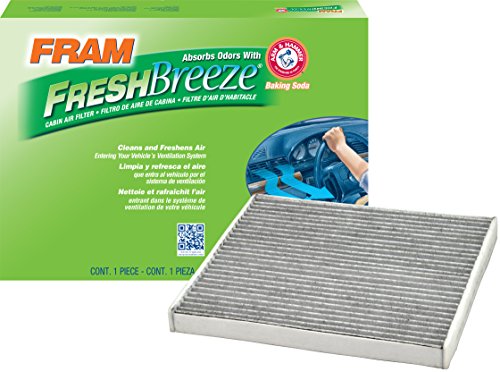 Air Filters Fram CF10361