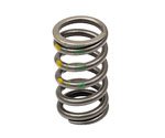 Genuine Valve Spring Springs Genuine 1025AMZ3955