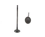 Intake Valves Genuine 1028AMZ9074