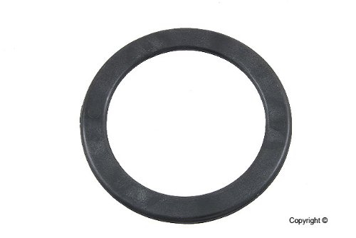 Coil Springs Genuine 1023AMZ2873
