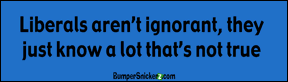Liberals Not Ignorant - Refrigerator Magnets 7x2 in Decals BumperSnickerz POL10094_RM.pdf