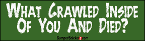 Decals BumperSnickerz IYF10004_RM.pdf