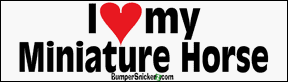 Decals BumperSnickerz PET10005_RM.pdf