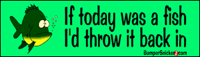 If Today Was A Fish I'd throw it back in - Refrigerator Magnets 7x2 in Decals BumperSnickerz ATT10010_RM.pdf