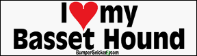 Decals BumperSnickerz PET10017_RM.pdf