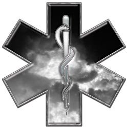 Star of Life EMT EMS Fire Gray 12 Reflective Decal Decals Weston Signs WSCFF071_FIREGRAY_12