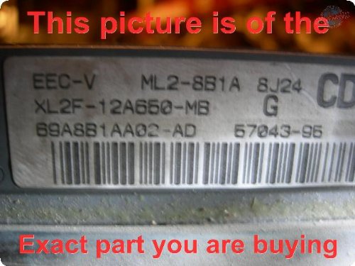 ECUs Pam's Auto zoKqnkHRiYgriWIyQ8ufQ