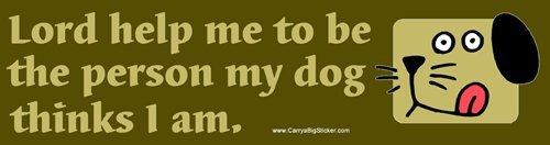 Decals CarryaBigSticker 