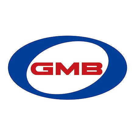 Water Pumps GMB 130-2981