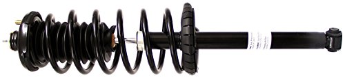 Struts Monroe 171299