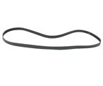 Serpentine Continental 1024AMZ9985
