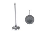 Intake Valves Dokuro 1025AMZ9789