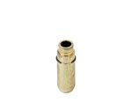 Intake Valves Canyon Engine 1025AMZ1745