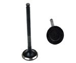 Exhaust Valves Osvat 1024AMZ0125