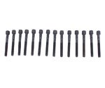 Head Bolt Sets Rock Hard 4x4 Parts 1028AMZ2549
