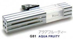 Air Fresheners Unknown AF-G81/56801