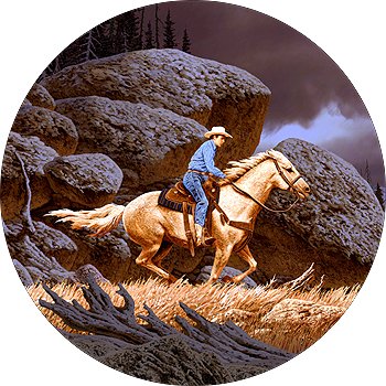 Tire Covers Tire Cover Central cowboy