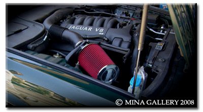 Grille Inserts Mina Gallery prtc04