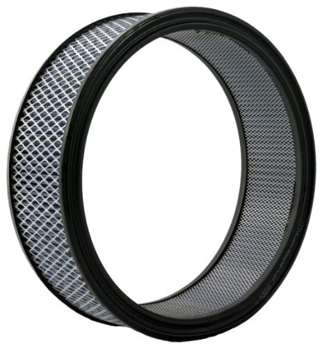 Air Filters Purolator PA43195