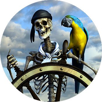 Tire Covers Tire Cover Central Pirate and Parrot