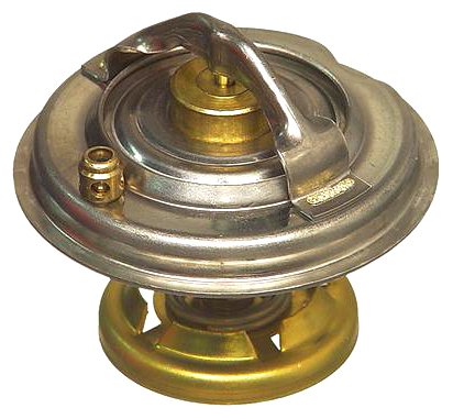 Wahler Thermostat Kit Thermostats Wahler W01331629320WAH