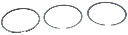 O-Rings & O-Ring Kits Goetze W01331716279GOE