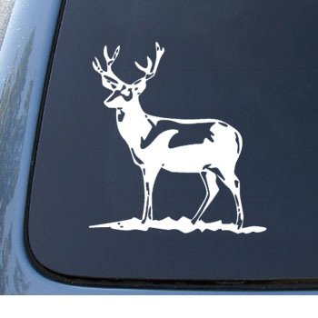 Bumper Stickers, Decals & Magnets  1175_WHITE