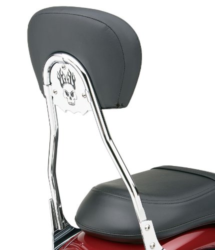 Sissy Bars Cobra 02-5071