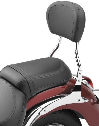 Sissy Bars Cobra 02-8750