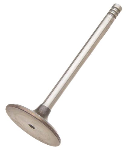 Intake Valves TRW W01331633220TRW