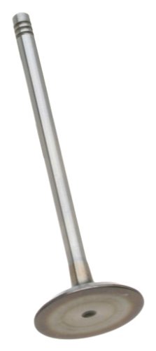 Intake Valves TRW W01331634680TRW