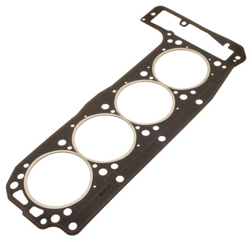 Head Victor Reinz W01331629323REI