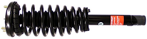 Struts Monroe 171691R