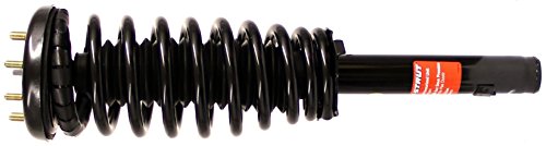 Struts Monroe 171691L