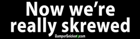 Now We're Really Skrewed - Refrigerator Magnets 7x2 in Decals BumperSnickerz ELE10053_RM.pdf