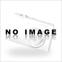 Pilot Bushings  SB10BS