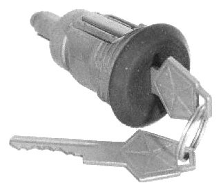 Trunk Lock Cylinder Wells TL10
