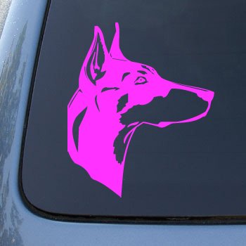 Decals NS-FX #1507_PINK