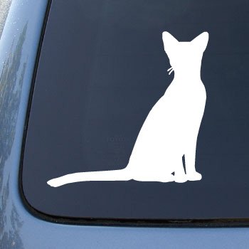 Bumper Stickers, Decals & Magnets  #1479_WHITE