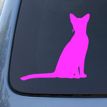 ABYSSINIAN - Cat - Vinyl Car Decal Sticker #1479 | Vinyl Color: Pink Decals NS-FX #1479_PINK