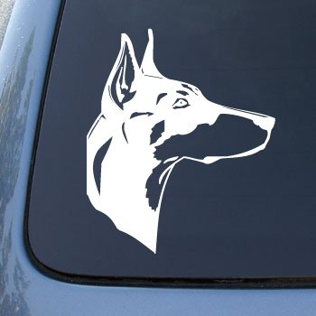 DOBERMAN HEAD - Dog - Vinyl Car Decal Sticker #1507 | Vinyl Color: White Bumper Stickers, Decals & Magnets