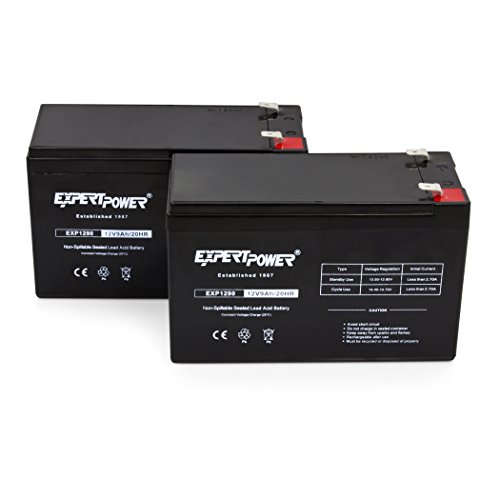 12V ExpertPower EXP1290-2