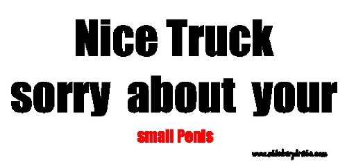 Bumper Stickers, Decals & Magnets Sticker Pirate SP039