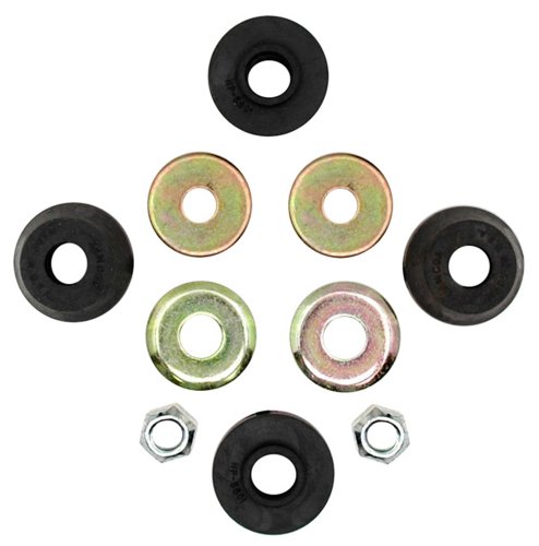 Strut Bushings Raybestos 579-1024