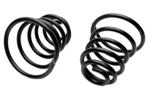 Coil Springs Raybestos 591-1078