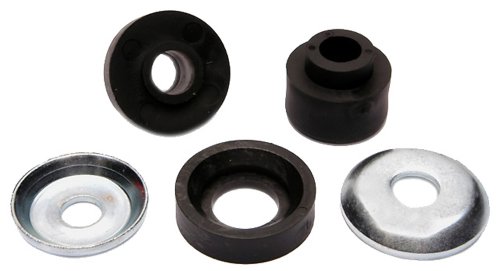 Bushing Kits Raybestos 579-5003