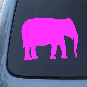 Decals NS-FX #1703_PINK