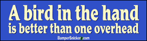 Decals BumperSnickerz PHI10031_S.pdf