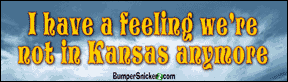 Decals BumperSnickerz MOV10011_S.pdf